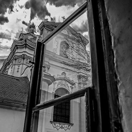 Penzion U Borovicku Litoměřice Zewnętrze zdjęcie