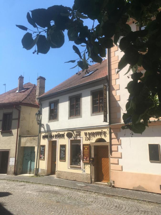 Penzion U Borovicku Litoměřice Zewnętrze zdjęcie