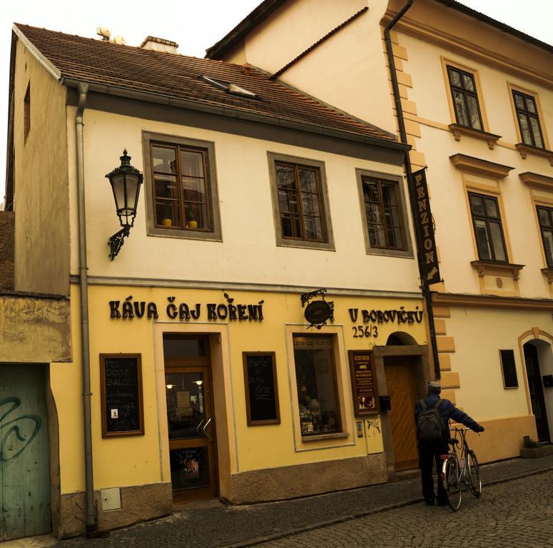 Penzion U Borovicku Litoměřice Zewnętrze zdjęcie