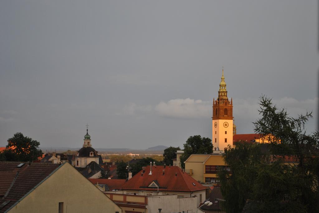 Penzion U Borovicku Litoměřice Zewnętrze zdjęcie