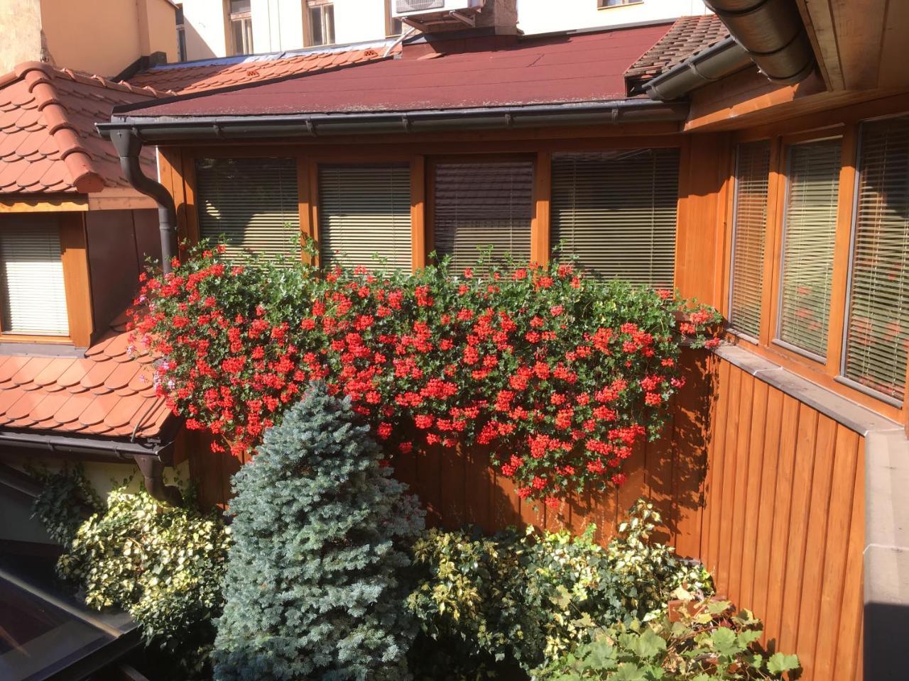 Penzion U Borovicku Litoměřice Zewnętrze zdjęcie